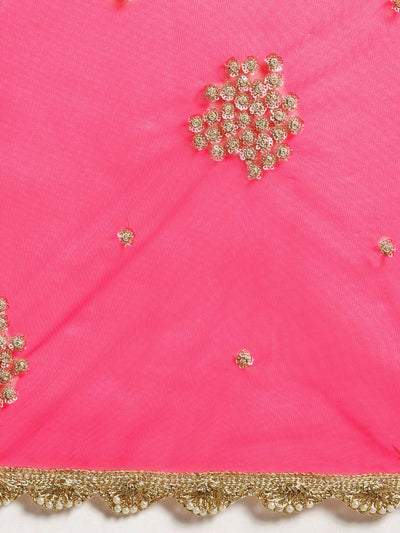 Net Stone Work Pink Saree